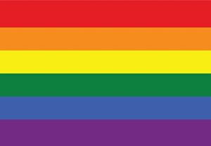 rainbow lgbt gay pride flag car magnet - 4x6 all weather magnet (rainbow pride flag)