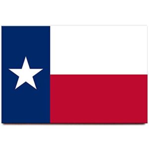 texas flag fridge magnet dallas houston travel souvenir
