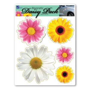 daisy flower pack magnet by magnet america is 8" x 6" made for vehicles and refrigerators