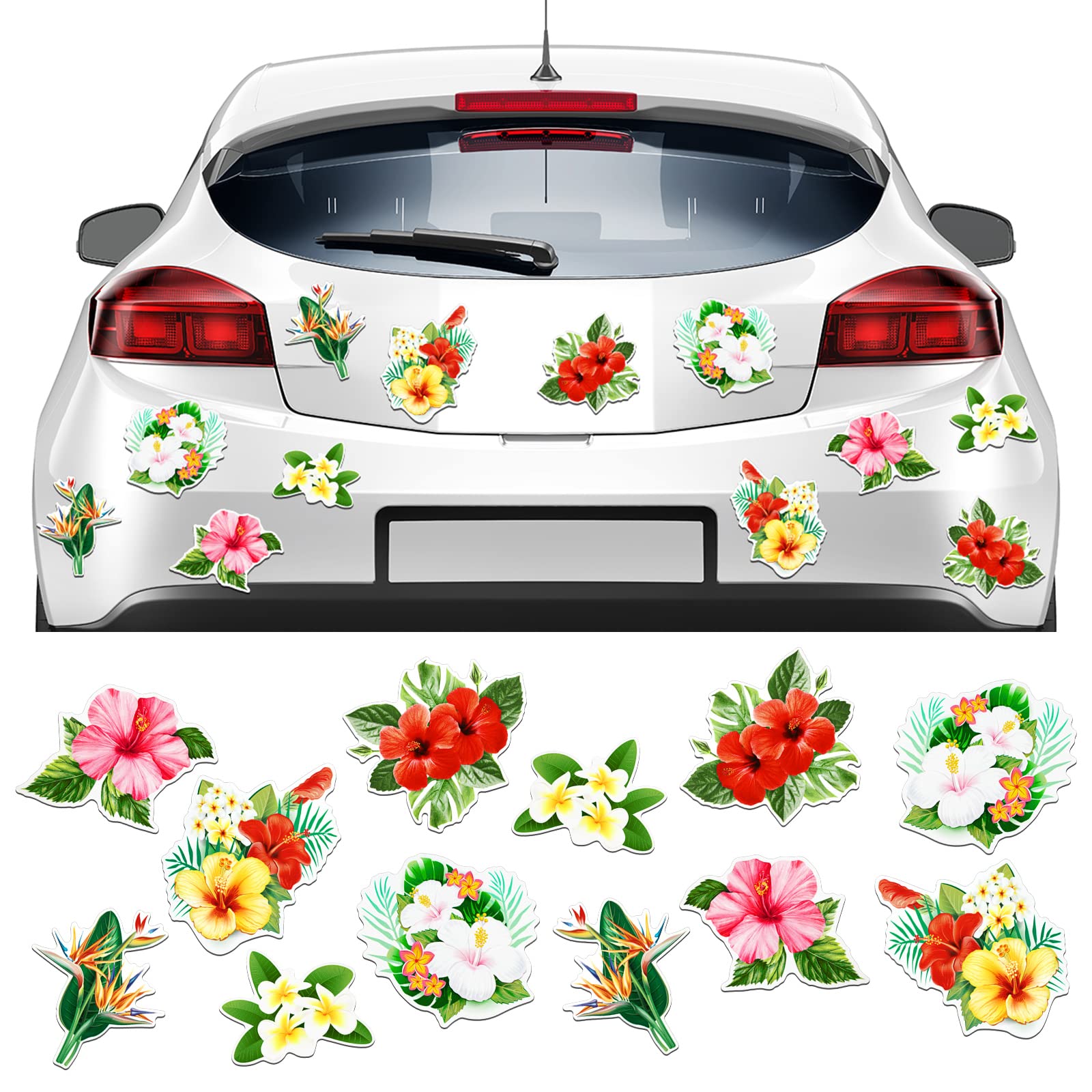 12 Pieces Cruise Door Magnets Hibiscus Refrigerator Magnets Cruise Magnets Car Decorative Magnets Frangipani Magnets Decal Locker Magnets for Carnival Cruise Ship Car Decor Hawaii Decoration