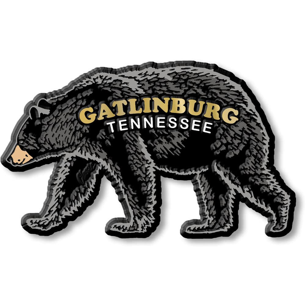 Gatlinburg Black Bear Magnet by Classic Magnets, 4.1" x 2.5", Collectible Souvenirs Made in The USA