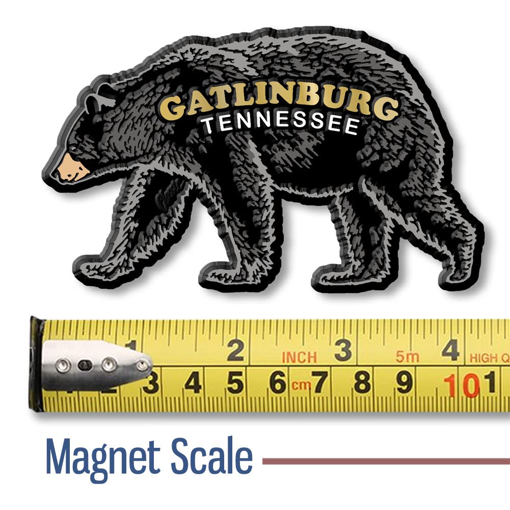 Gatlinburg Black Bear Magnet by Classic Magnets, 4.1" x 2.5", Collectible Souvenirs Made in The USA