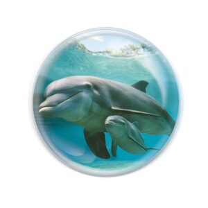 magnidome - dolphin magnet from deluxbase. crystal glass fridge magnet. cute round and strong magnets for refrigerator magnets, home decor and animal magnets for locker decorations for kids