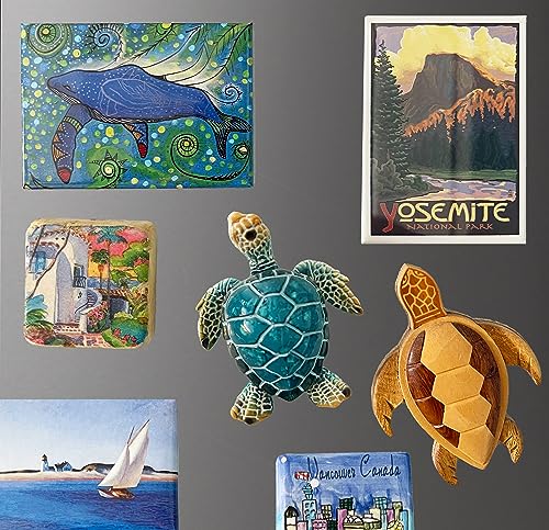 Blue Sea Turtle Fridge Magnet - Cute Coastal Beach House + Ocean Decor Magnet for Refrigerator or Metal Bulletin Board - 3 x 2 Inches, Turquoise