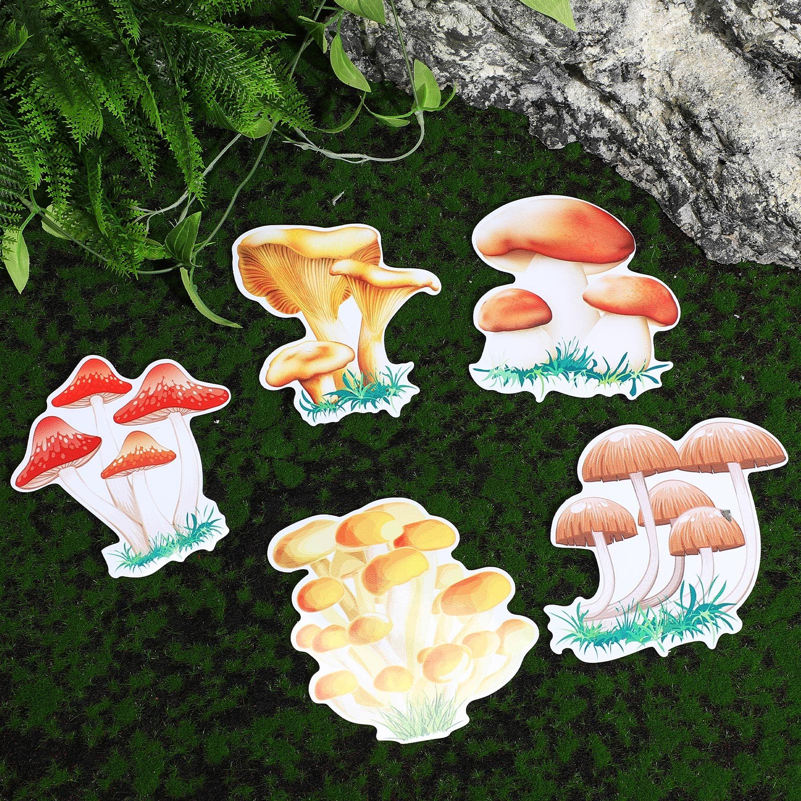 12 Pieces Mushroom Magnets Mushroom Car Magnet Fridge Magnets Art Vintage Magnets Decal Removable Fridge Magnetic Stickers Cute Locker Magnets for Office Home Whiteboard Car Decor