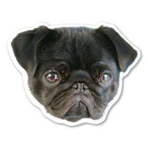 (black) pug dog magnet by magnet america is 4.75" x 4.875" made for vehicles and refrigerators