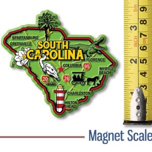 South Carolina Colorful State Magnet by Classic Magnets, 3.6" x 3.3", Collectible Souvenirs Made in The USA