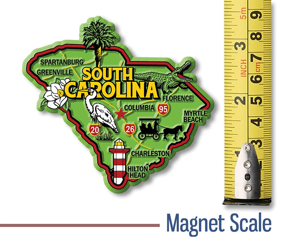 South Carolina Colorful State Magnet by Classic Magnets, 3.6" x 3.3", Collectible Souvenirs Made in The USA