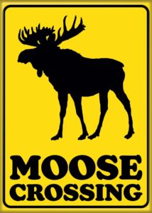 ata-boy canada magnet - moose crossing 2.5" x 3.5" magnet for refrigerators, whiteboards & locker decorations…