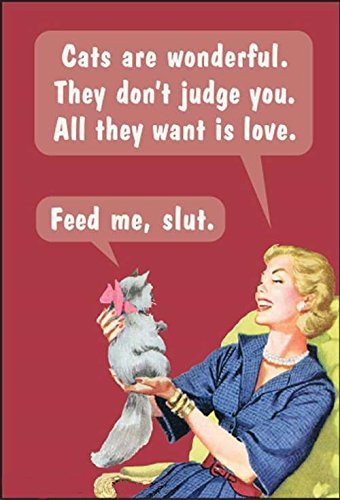 Cats Are Wonderful. They Don't Judge You.... funny fridge magnet (ep)