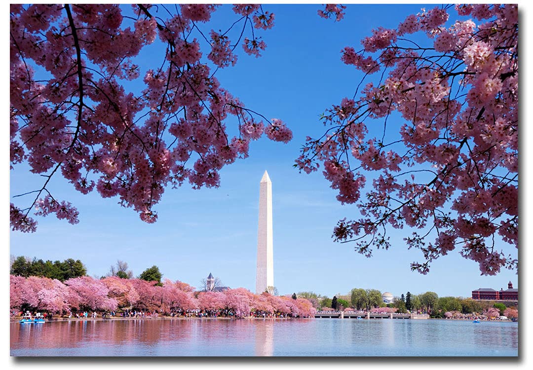 Washington D.C. Cherry Blossom Refrigerator Magnet Size 2.5" x 3.5"