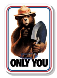 desperate enterprises smokey only you refrigerator magnet - funny magnets for office, home & school - made in the usa