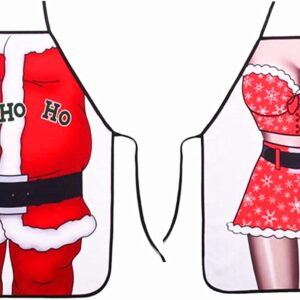 Funny Aprons Waterproof Christmas Santa Claus Apron Novelty Kitchen Creative Cooking Apron Grilling Baking Party Gag Gift Bikini Girl Aprons for Men and Women (Santa+Lady)