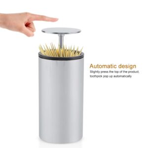 Automatic Stainless Steel Toothpick Dispenser Holder Container Box