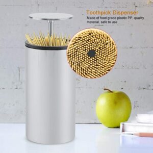 Automatic Stainless Steel Toothpick Dispenser Holder Container Box