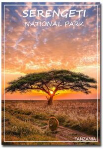 serengeti national park, tanzania sunset travel refrigerator magnet size 2.5" x 3.5"