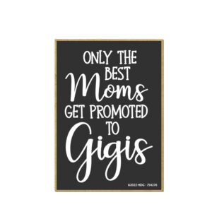 honey dew gifts, only the best moms get promoted to gigis, 2.5 inch by 3.5 inch, made in usa, refrigerator magnets, fridge magnet, decorative magnets, granny gifts, gigi gift, gigi kitchen, best gigi