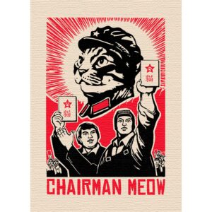 CafePress Follow Chairman Meow! Magnets Rectangle Magnet, 3"x2" Refrigerator Magnet