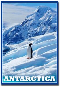 penguin in antarctica earth's southernmost travel refrigerator magnet size 2.5" x 3.5"