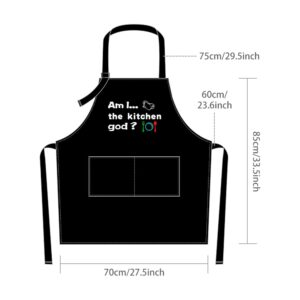 boshiho Aprons for Men Women With Pockets, Grilling BBQ Chef ApronsThanksgiving,Christmas,Birthday Cooking Gifts for Dad, Husband,Brother, Boyfriend,Mom