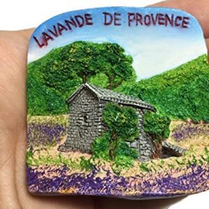 ES Routes Lavande De Provence Lavender France Fridge Magnet 3D Souvenir Set Collection Resin MG-101