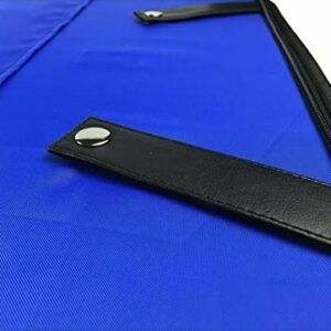 Masonic MM/WM and Provincial Full Dress Apron Past Master Cases Blue free size