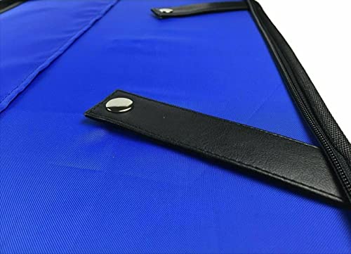 Masonic MM/WM and Provincial Full Dress Apron Past Master Cases Blue free size