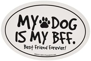 prismatix decal cat and dog magnets, my dog is my bff