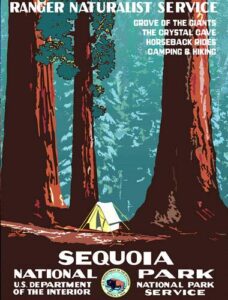 magnet 3x4 inch sequoia art poster bumper sticker - california rv national park hike ca magnetic magnet vinyl sticker