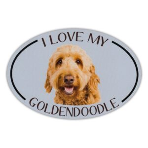 refrigerator magnet - i love my goldendoodle (golden doodle, golden retriever, poodle) - 6" x 4"