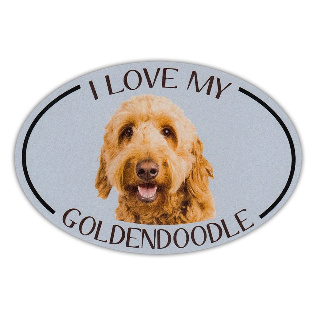 Refrigerator Magnet - I Love My Goldendoodle (Golden Doodle, Golden Retriever, Poodle) - 6" x 4"