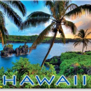 Hawaiian Art Collectible Refrigerator Magnet - Where da Coconuts Grow