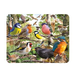 3d livelife magnet - nature's home from deluxebase. lenticular 3d bird fridge magnet. magnetic decor for kids and adults with artwork licensed from renowned artist, david penfound