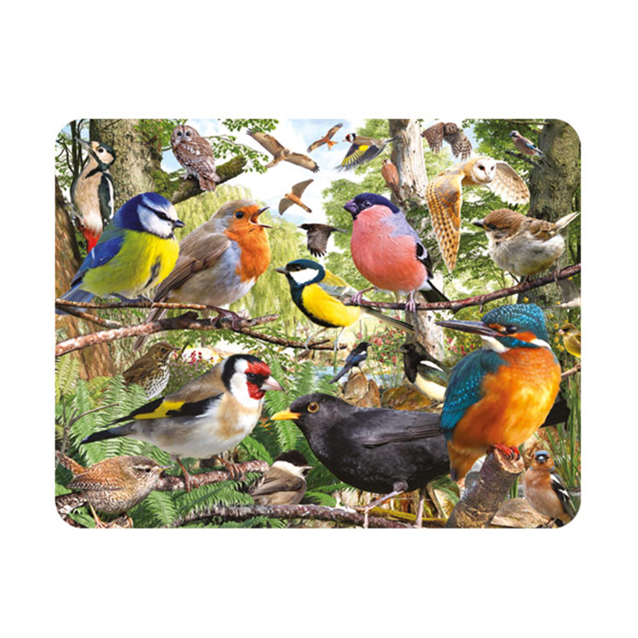 3D LiveLife Magnet - Nature's Home from Deluxebase. Lenticular 3D Bird Fridge Magnet. Magnetic Decor for Kids and Adults with Artwork Licensed from Renowned Artist, David Penfound