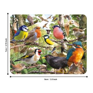 3D LiveLife Magnet - Nature's Home from Deluxebase. Lenticular 3D Bird Fridge Magnet. Magnetic Decor for Kids and Adults with Artwork Licensed from Renowned Artist, David Penfound