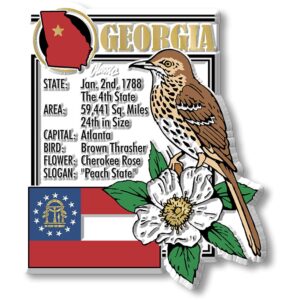 georgia state montage magnet by classic magnets, 3" x 3.5", collectible souvenirs made in the usa