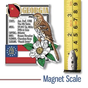 Georgia State Montage Magnet by Classic Magnets, 3" x 3.5", Collectible Souvenirs Made in The USA