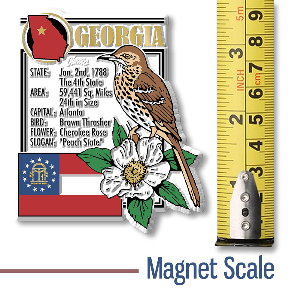 Georgia State Montage Magnet by Classic Magnets, 3" x 3.5", Collectible Souvenirs Made in The USA