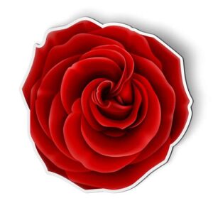red rose beautiful - magnet - car fridge locker - select size