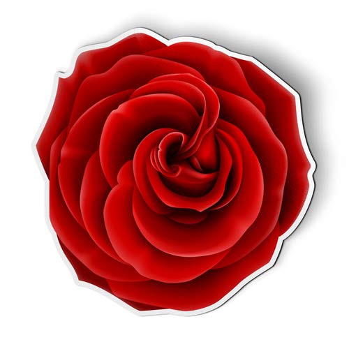 Red Rose Beautiful - Magnet - Car Fridge Locker - Select Size