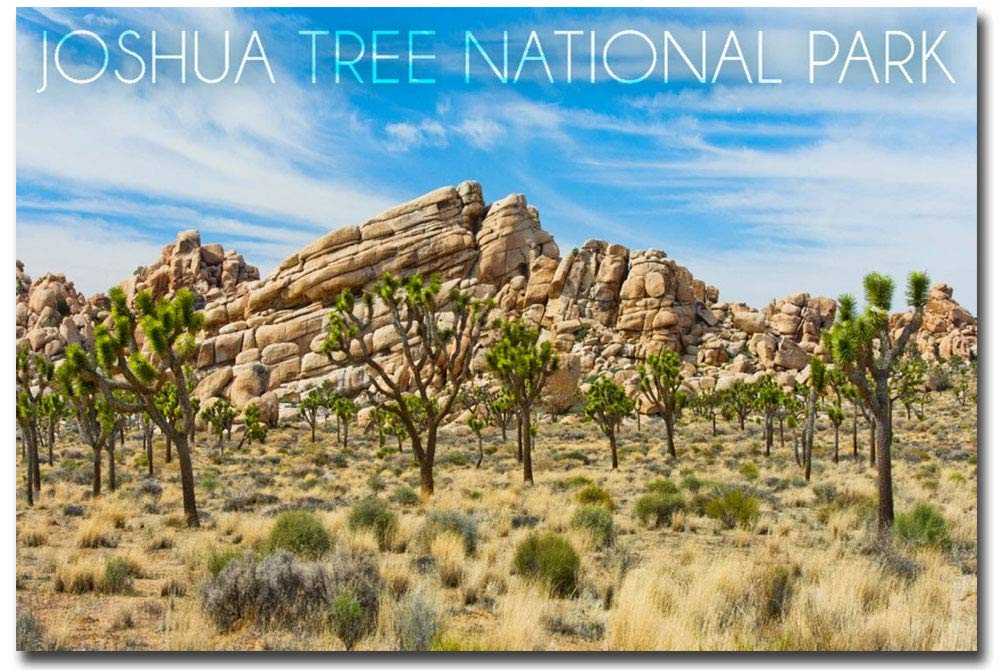 Joshua Tree National Park Blue Sky & Rocks Refrigerator Magnet Size 2.5" x 3.5"