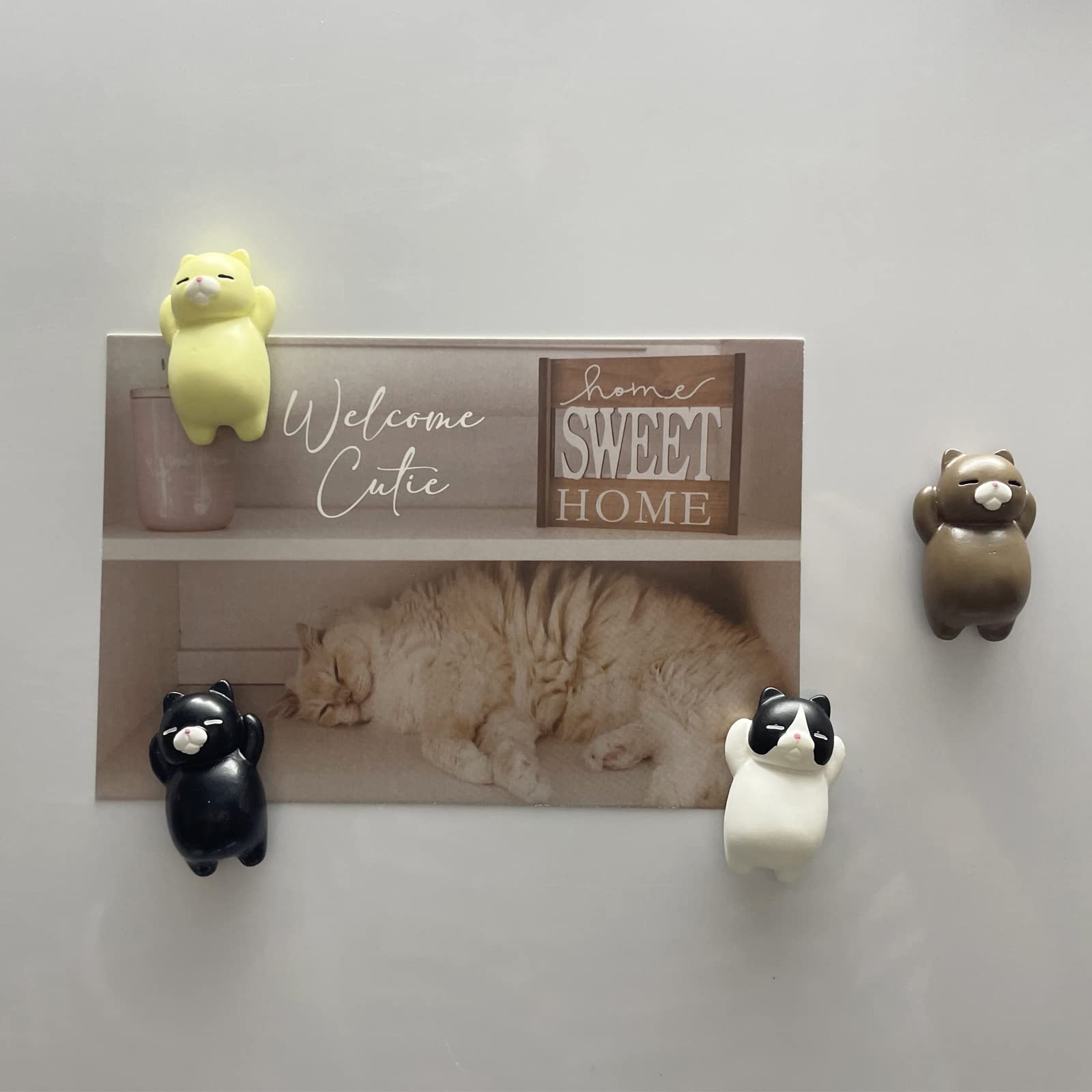 Cute Refrigerator Magnets,8 Pack Cat Magnets for Fridge Locker Decor Magnets 3D Cat Kawaii Magnets for Office,Kitchen,Whiteboard,House,Decorative Magnets Gifts for Cat Lovers