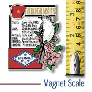 Arkansas State Montage Magnet by Classic Magnets, 2.8" x 3.4", Collectible Souvenirs Made in The USA