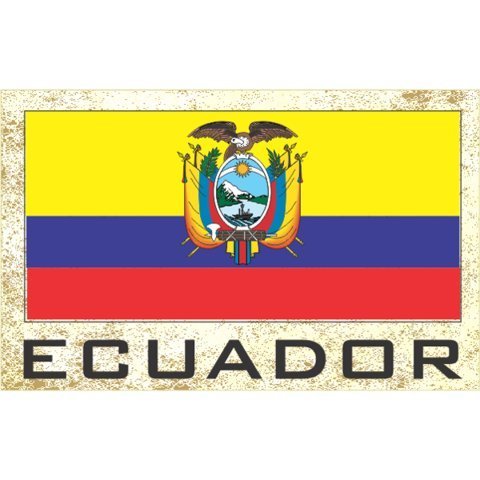 Flag Fridge Refrigerator Magnets - Americas Grp 1 (1-Pack, Country: Ecuador)