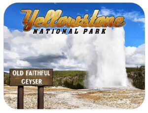 yellowstone national park old faithful geyser fridge magnet
