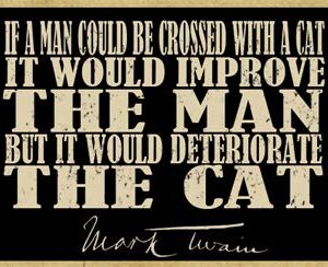 SJT ENTERPRISES, INC. If Man Could be Crossed with The Cat it Would Improve Man, but it Would Deteriorate The Cat - Mark Twain Quote - Wood Fridge Kitchen Magnet - Measures 2.5" x 3.5" (SJT00161)