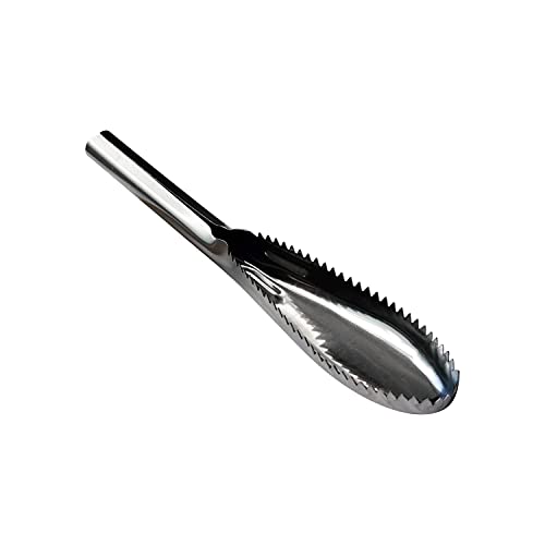 zhuohai Fish Scaler, 304 Stainless Steel Fish Scaler Remover, Sawtooth Fish Descaler Tool for Family Kitchen, Seafood Markets