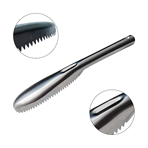 zhuohai Fish Scaler, 304 Stainless Steel Fish Scaler Remover, Sawtooth Fish Descaler Tool for Family Kitchen, Seafood Markets