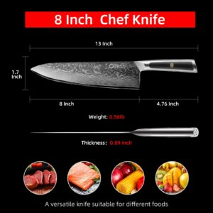 Sunnecko Chef Knife 8 Inch, Damascus Kitchen Knife Japanese Chefs Knife Vg10 High Carbon Stainless Steel