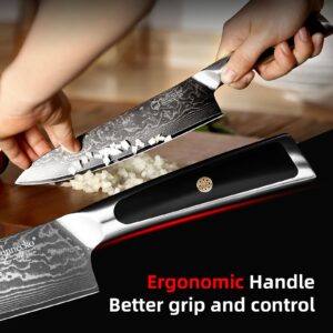 Sunnecko Chef Knife 8 Inch, Damascus Kitchen Knife Japanese Chefs Knife Vg10 High Carbon Stainless Steel